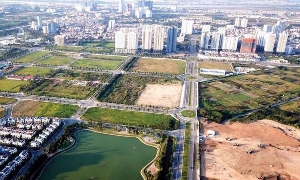 Đề xuất tăng mạnh chế tài với hành vi thao túng, bỏ cọc trong đấu giá đất