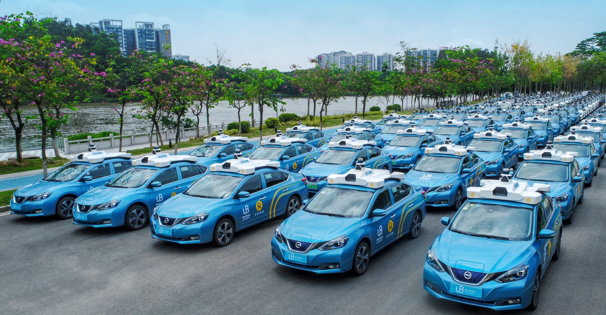 <i>Một đội xe tự lái của WeRide.</i>