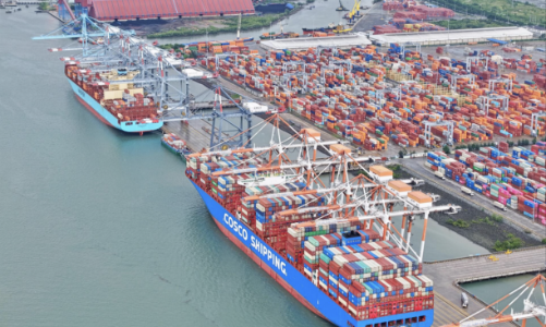 Tăng trưởng vươn mình: Kích cầu hay kích đầu tư?