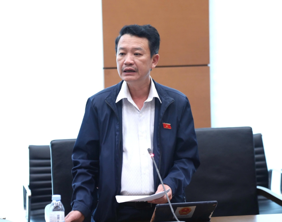 Đại biểu Trần Quang Minh (Đoàn Quảng Trị) 