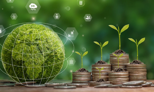 Liên minh Ngân hàng Net-Zero sụp đổ và cuộc chuyển hóa tái cấu trúc, cách tiếp cận “tài chính xanh”