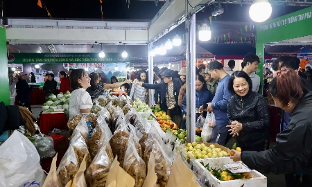 Các gian hàng tại Hội chợ Công Thương vùng Đồng bằng sông Hồng - Hải Phòng 2025