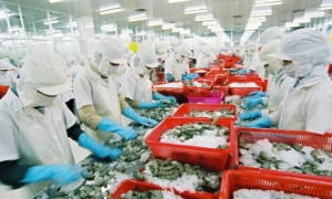 Sử dụng tối đa “chìa khoá” xuất xứ hàng hóa để tăng trưởng xuất khẩu sang thị trường CPTPP