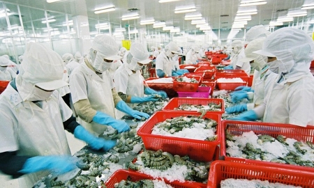 Xuất khẩu thủy sản sang thị trường CPTPP có xu hướng tăng trưởng tích cực.