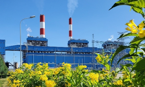 Nhiệt điện than vẫn “gánh” hơn 46% sản lượng điện quốc gia