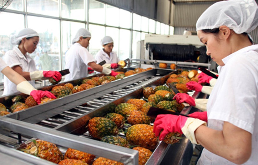 Chế biến thực phẩm, nông sản là một trong những ngành xuất khẩu chủ lực của Đồng Nai. Ảnh minh họa