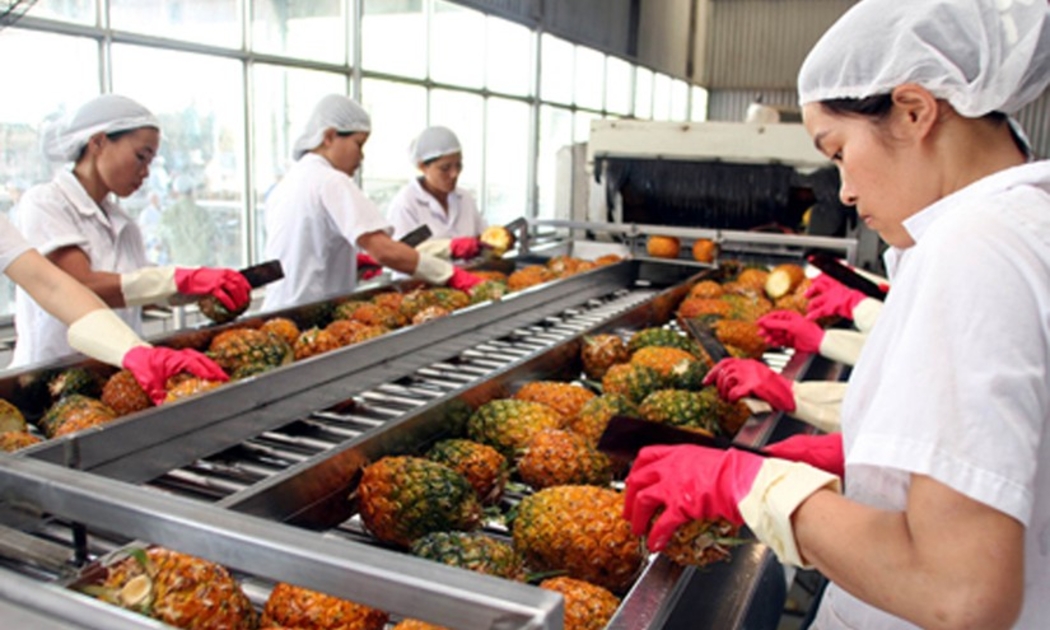 Đồng Nai giữ vững đà tăng trưởng kinh tế