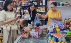 Khẩn trương hoàn thành rà soát và đối chiếu dữ liệu hộ kinh doanh trước ngày 15/11