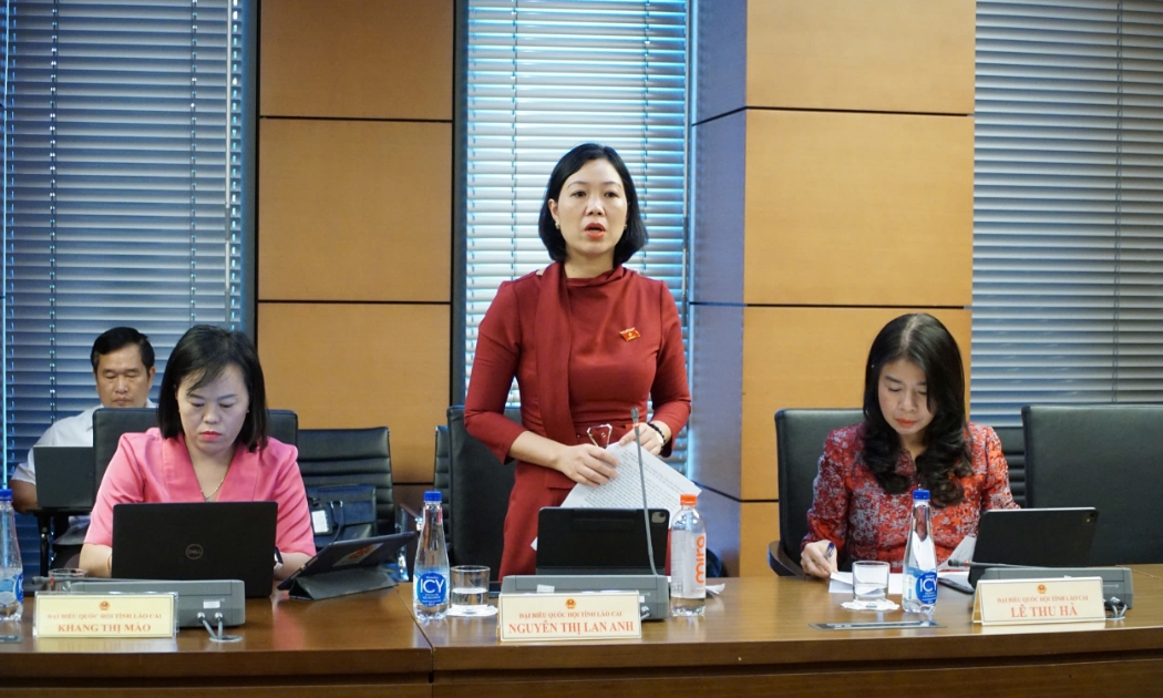 Đại biểu Nguyễn Thị Lan Anh (Đoàn tỉnh Lào Cai): cần có chính sách hỗ trợ cho thẩm định giá độc lập thông qua Quỹ đổi mới công nghệ quốc gia hoặc Quỹ đổi mới phát triển khoa học công nghệ.