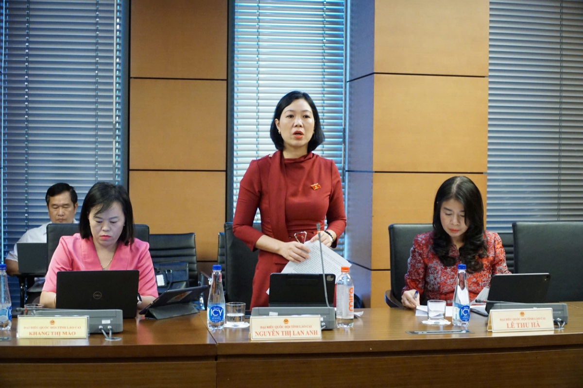 Đại biểu Nguyễn Thị Lan Anh (Đoàn tỉnh Lào Cai): cần có chính sách hỗ trợ cho thẩm định giá độc lập thông qua Quỹ đổi mới công nghệ quốc gia hoặc Quỹ đổi mới phát triển khoa học công nghệ.