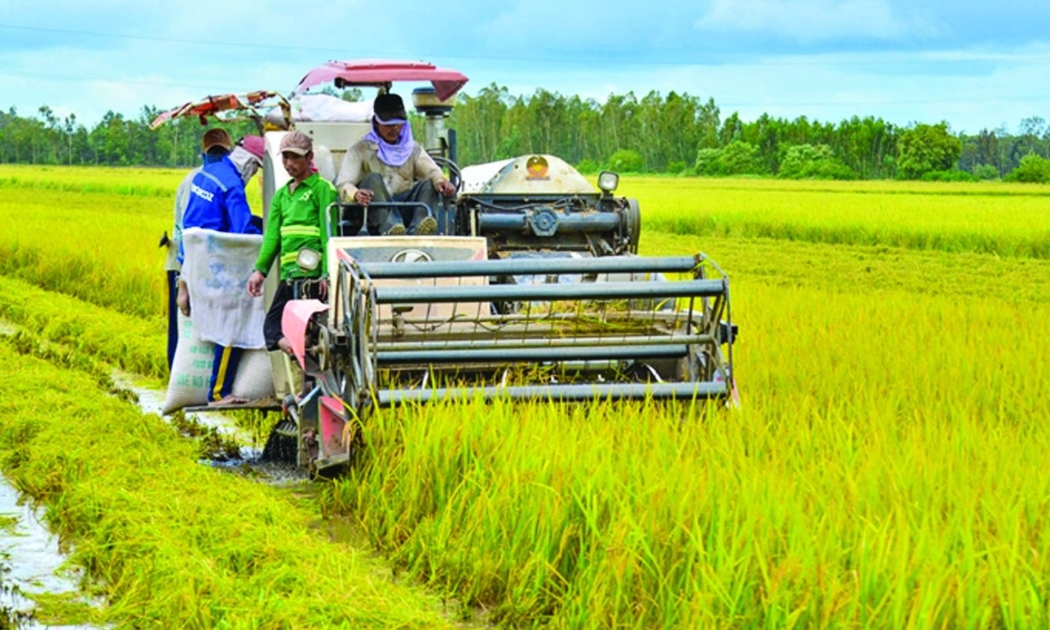 Sản xuất nông nghiệp vẫn vững vàng trước thiên tai, bão lũ