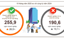 10 tháng năm 2025: Gần 256.000 doanh nghiệp gia nhập thị trường, vốn bổ sung tăng mạnh