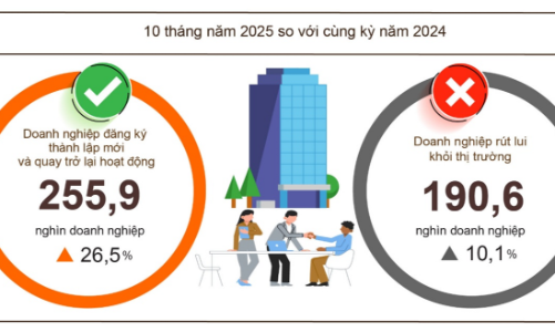 10 tháng năm 2025: Gần 256.000 doanh nghiệp gia nhập thị trường, vốn bổ sung tăng mạnh