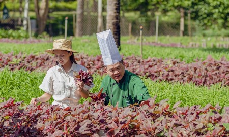 Du lịch xanh là cam kết dài hạn của Đà Nẵng