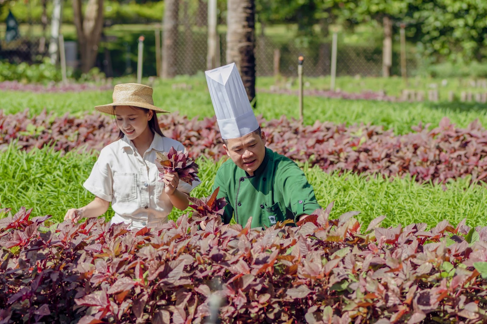 Du lịch xanh là cam kết dài hạn của Đà Nẵng