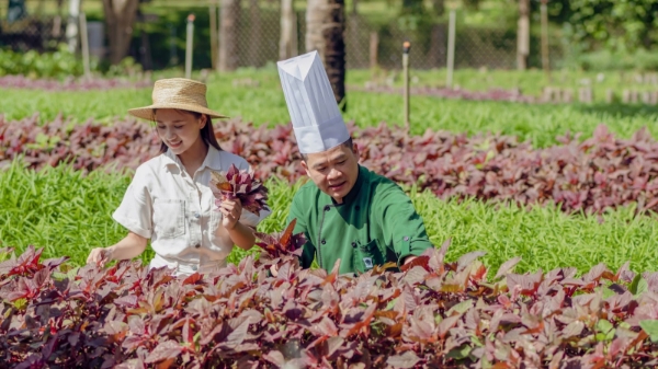 Du lịch xanh là cam kết dài hạn của Đà Nẵng