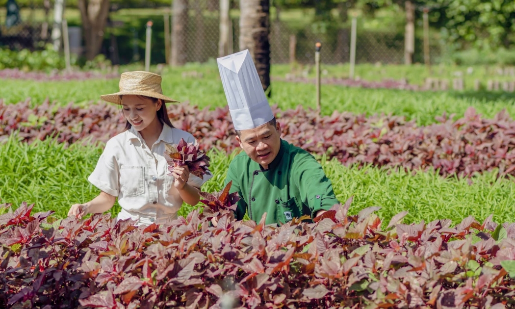 Trải nghiệm lưu trú bền vững tại Furama Resort Đà Nẵng.