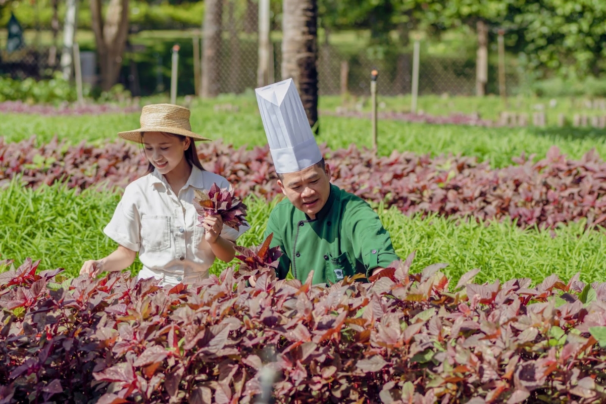 Trải nghiệm lưu trú bền vững tại Furama Resort Đà Nẵng.