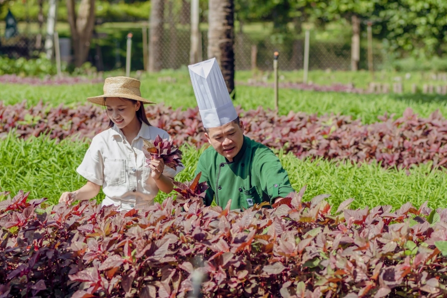 Trải nghiệm lưu trú bền vững tại Furama Resort Đà Nẵng.