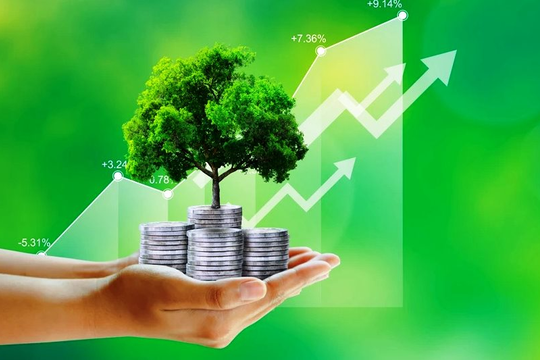 Chuyển đổi mô hình tăng trưởng theo hướng xanh, số, tuần hoàn, dựa vào khoa học công nghệ và đổi mới sáng tạo. Ảnh minh họa