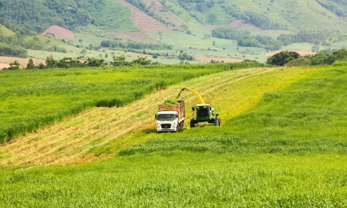 Từ nông nghiệp đến năng lượng: Từng bước hiện thực hóa cam kết Net Zero