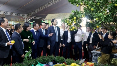 Agricultural trade fair held in central Nghe An province