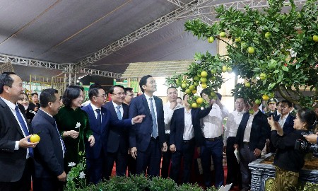 Nghệ An: Kết nối giao thương, nâng tầm nông sản, hướng tới phát triển bền vững