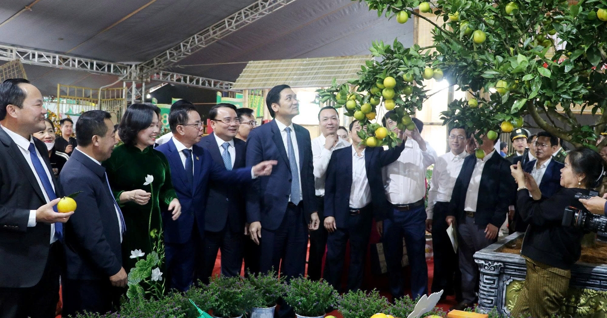 Nghệ An: Kết nối giao thương, nâng tầm nông sản, hướng tới phát triển bền vững