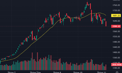 Loạt cổ phiếu trụ bị bán tháo, VN-Index thủng 1600 điểm