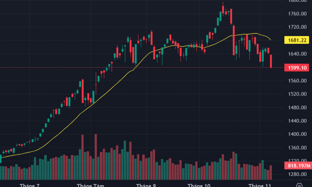 Loạt cổ phiếu trụ bị bán tháo, VN-Index thủng 1600 điểm