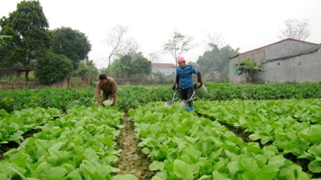 October CPI rises 0.2%, driven by higher food and education fees