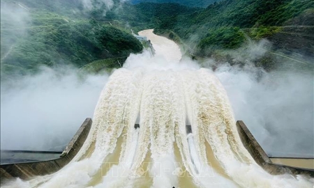 Với các hành vi vi phạm quy định trong quá trình vận hành cắt, giảm lũ cho hạ du theo quy định của quy trình vận hành liên hồ chứa bị phạt từ 100- 250 triệu đồng.