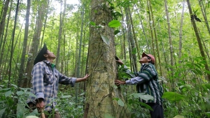 Prospective money-spinner from carbon credits