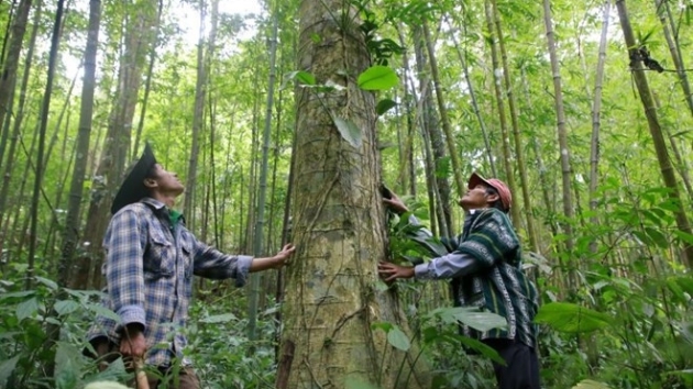 Prospective money-spinner from carbon credits