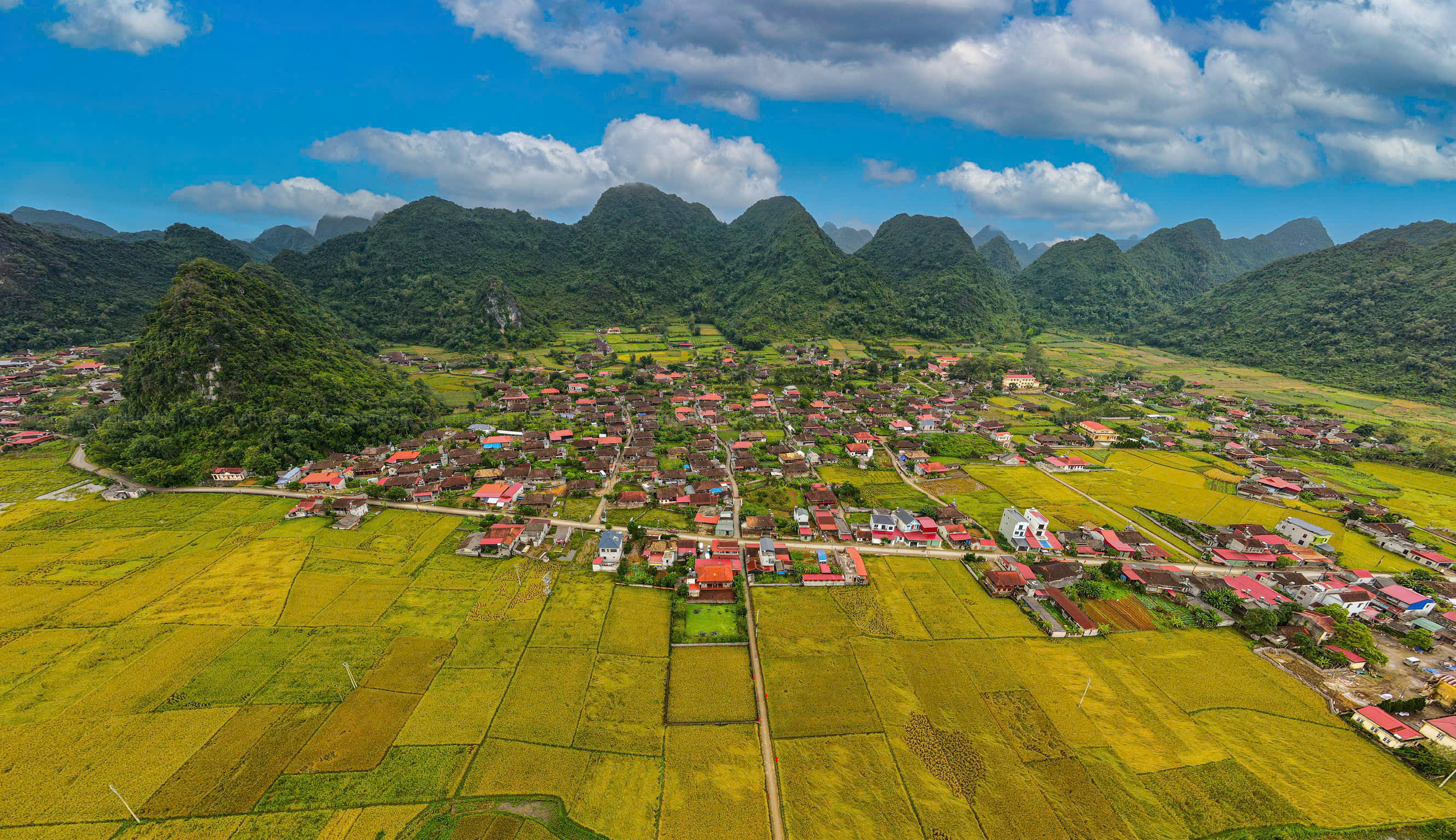 Vẻ đẹp làng Quỳnh Sơn mùa lúa chín.