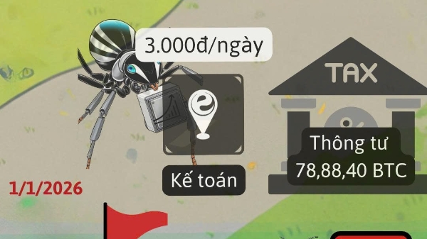 Hội thảo: Thuế khu vực và hộ kinh doanh, bỏ thuế khoán - HKDO