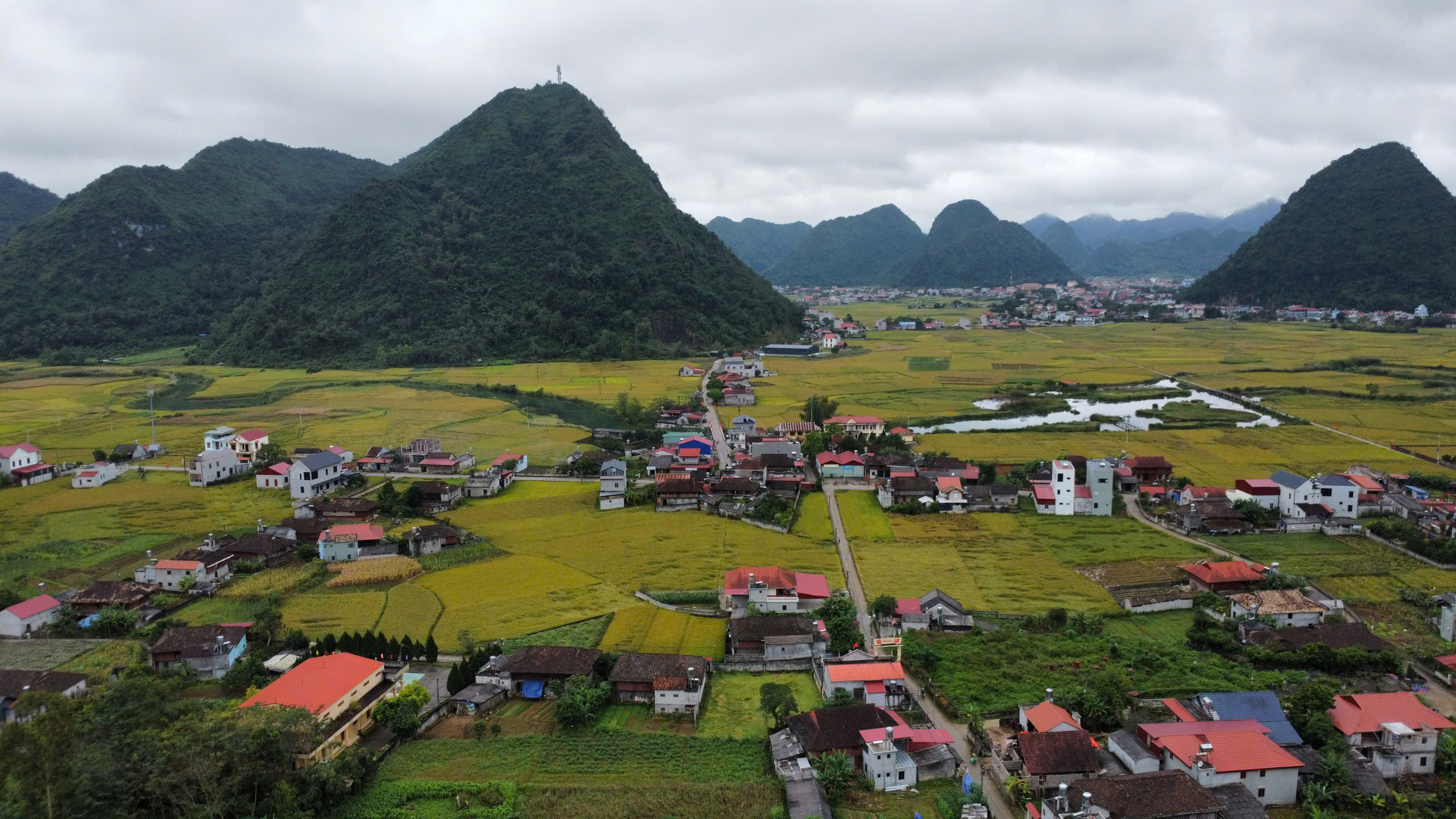 Bắc Sơn mùa lúa chín.