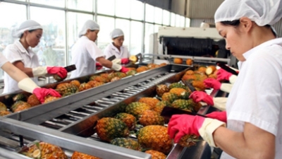 Dong Nai province leads nation in trade surplus in 10M