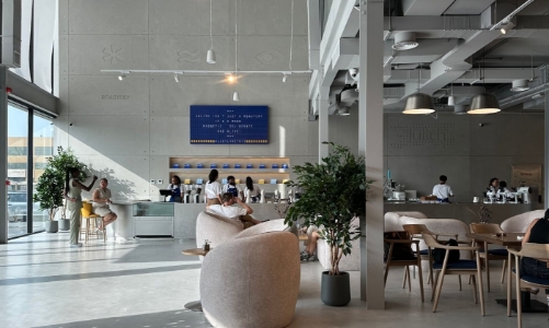 Ly cà phê đắt nhất thế giới hay nghi thức thiền vị giác?