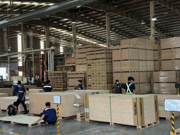 Sản xuất plywood tại TEKCOM.