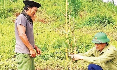 Cao Bằng: Từ chính sách đa chiều đến cây trồng giúp nông dân thoát nghèo bền vững