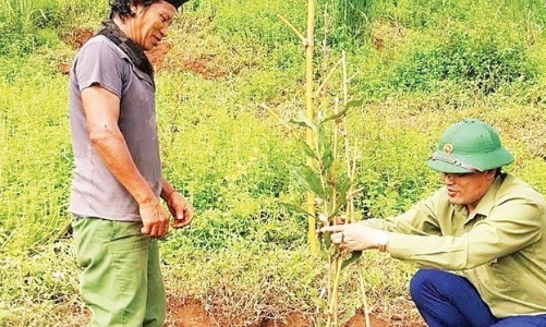 Cao Bằng: Từ chính sách đa chiều đến cây trồng giúp nông dân thoát nghèo bền vững