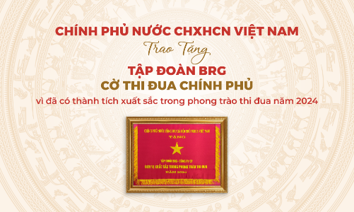 Tập đoàn BRG được Chính phủ trao tặng Cờ Thi đua 