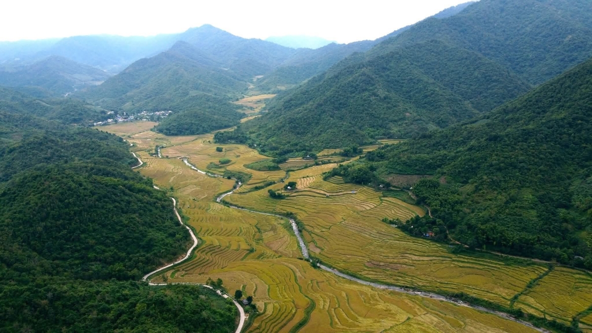 Giữa các thung lủng dọc suối Xim cũng được nhuộm vàng, đẹp như tranh.