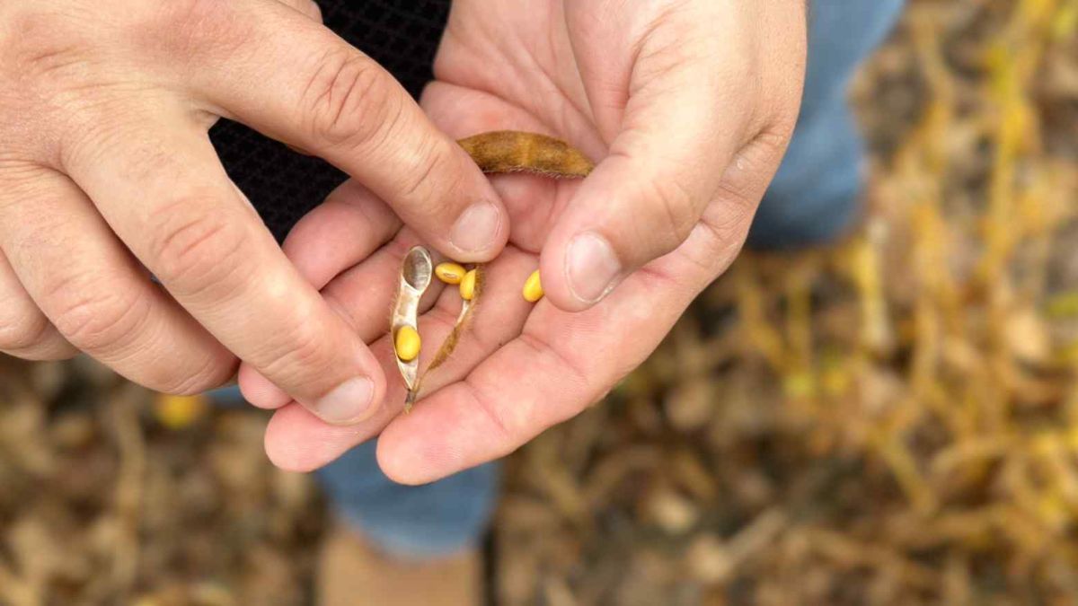 Ảnh minh họa - Ảnh: Nikkei Asia