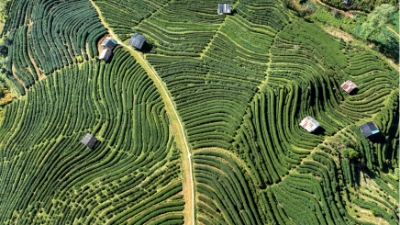 Vietnam’s crop sector sets path to net-zero by 2050
