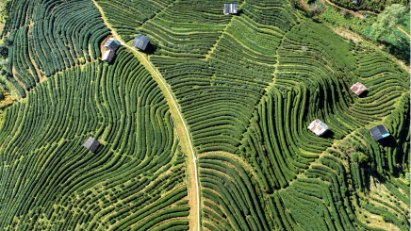 Vietnam’s crop sector sets path to net-zero by 2050