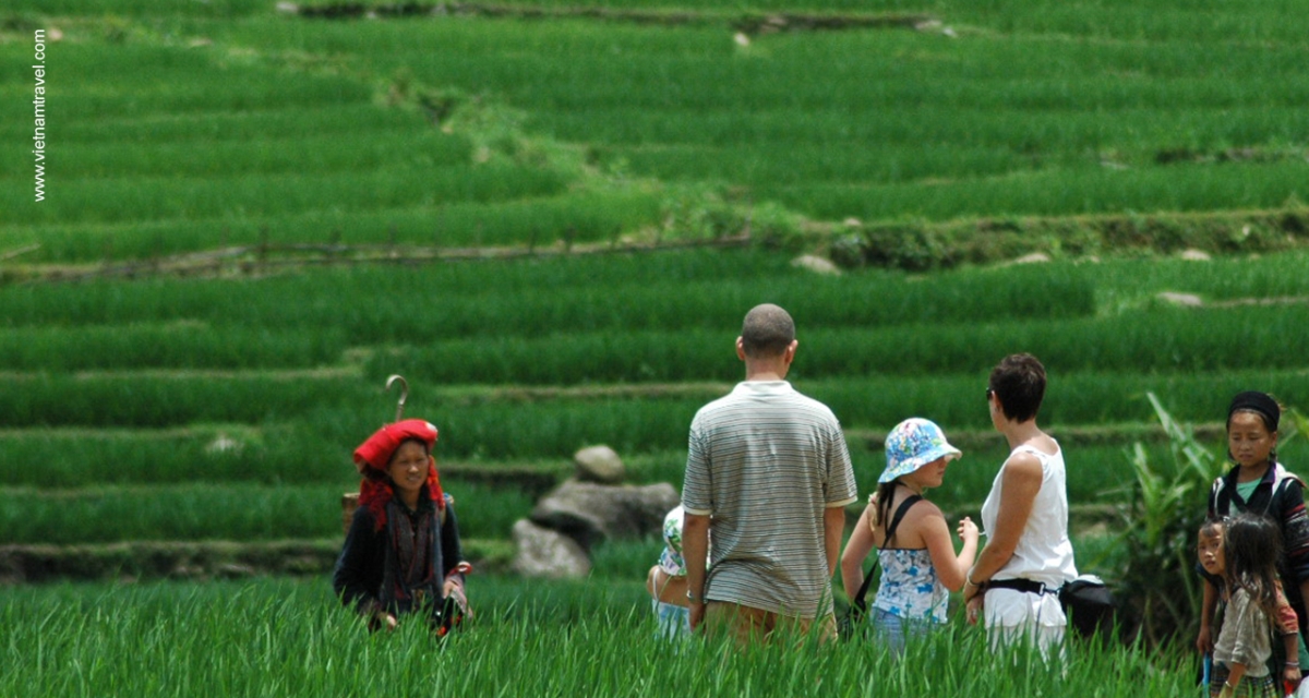Đến nay, cả nước có hơn 600 mô hình du lịch nông nghiệp, nông thôn đang hoạt động.