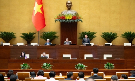 Hoàn thiện pháp luật về thi hành án dân sự và giám định tư pháp