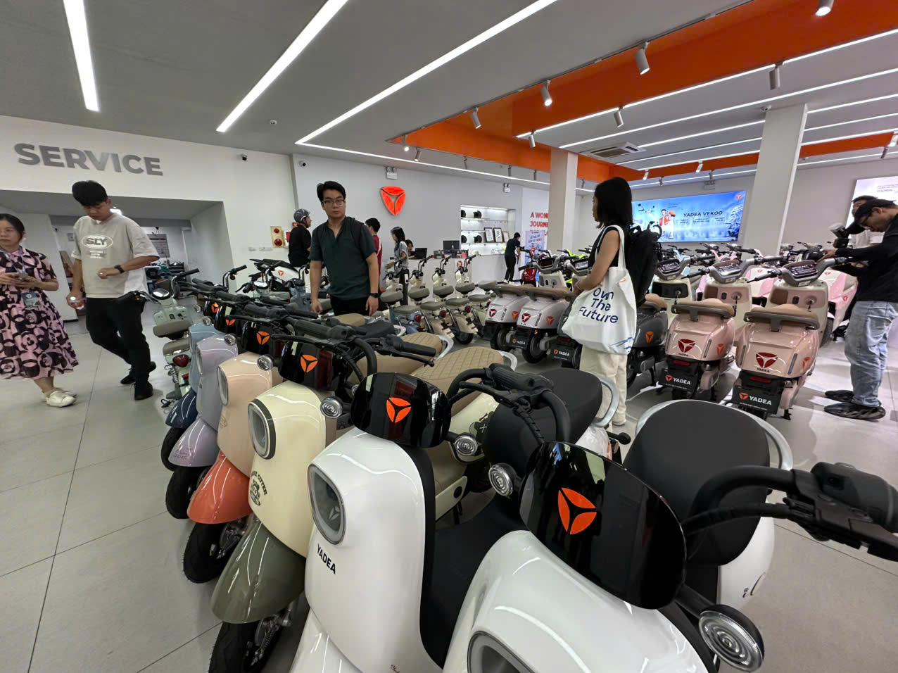 <i>Các hãng xe điện Trung Quốc cũng đang nở rộ tại thị trường Việt.</i>